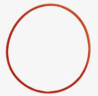 Olympus POL-E201 O-Ring for Underwater Protective Case PFL-E01 for FL-36 Flash (N2137200)